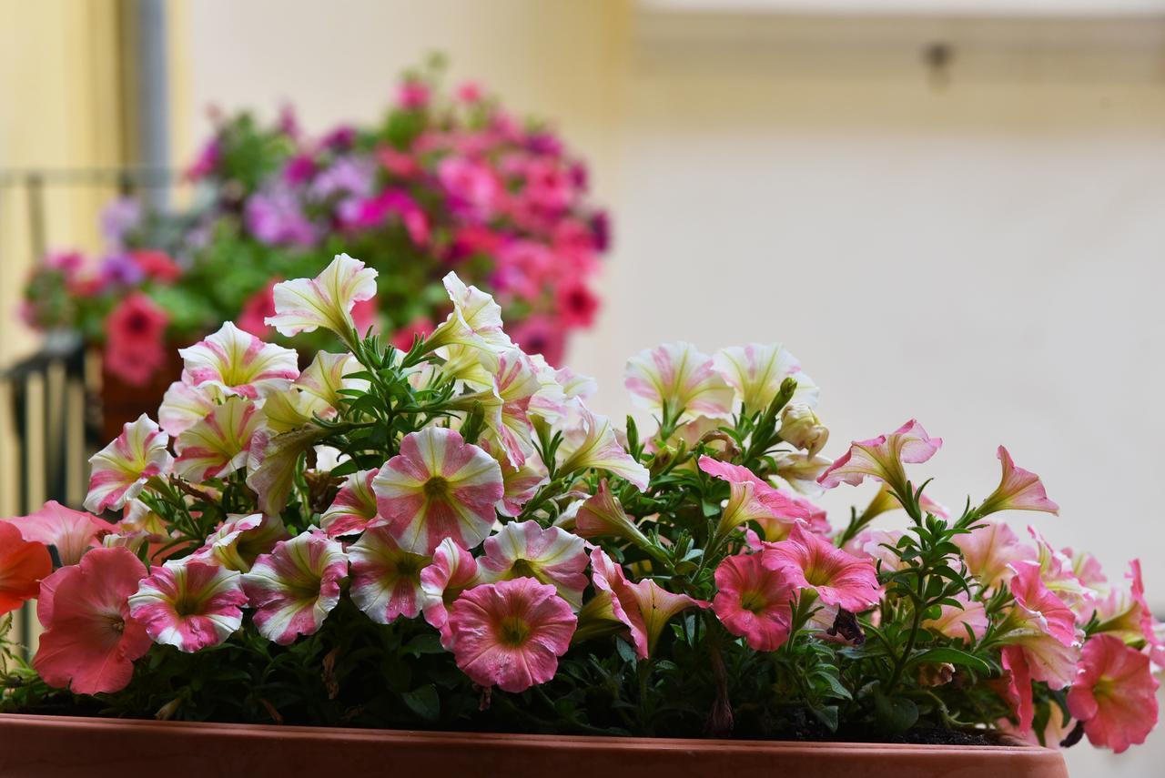 La Dolce Vita Salerno Bed and Breakfast Εξωτερικό φωτογραφία